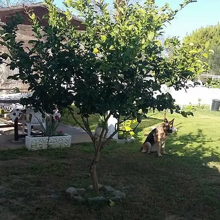 La Chanca Rural Holiday home